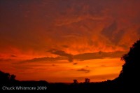Painted Sky